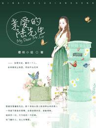 亲爱的陆先生by西大秦